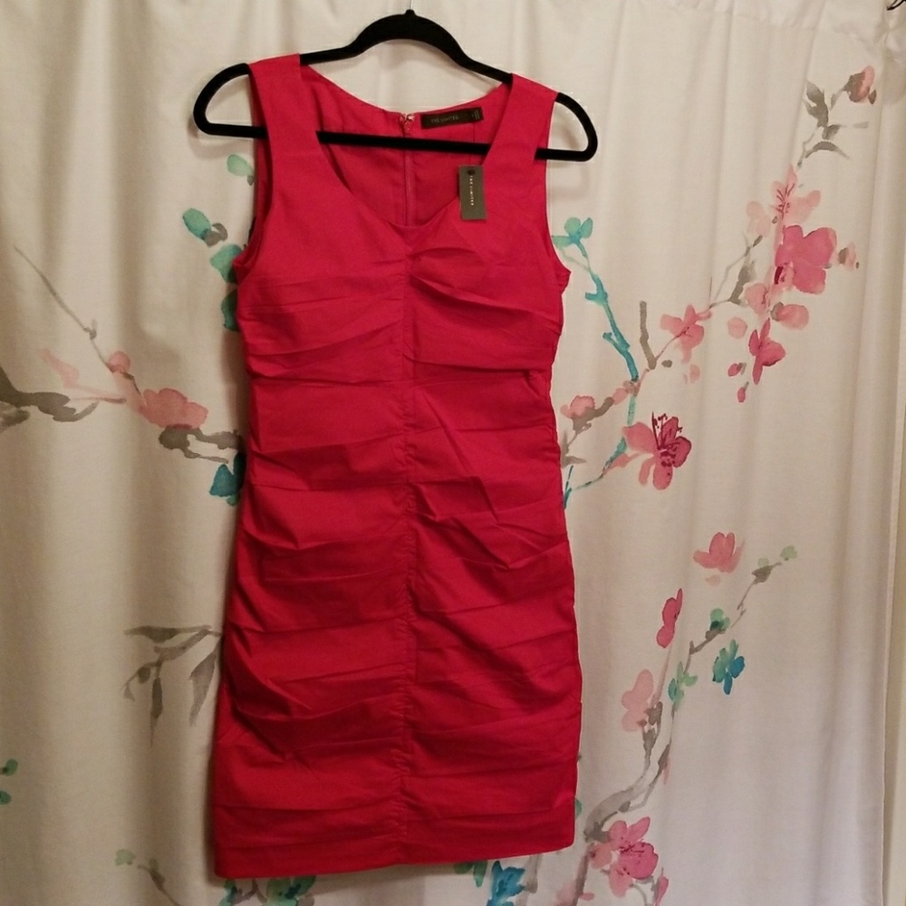 The Limited Brand dress